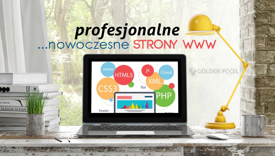 profesjonalne i nowoczesne strony www łomża